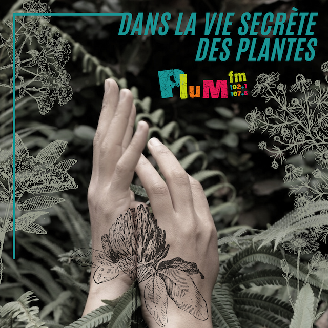 Dans la vie secrète des plantes