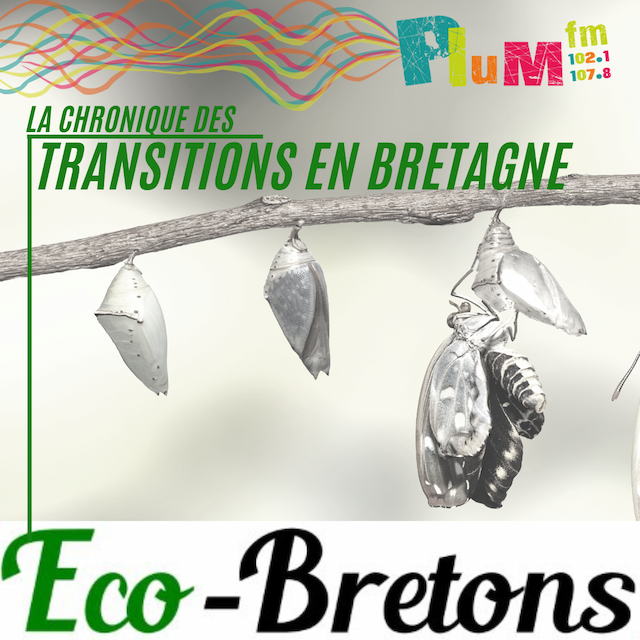 La chronique des transitions en Bretagne