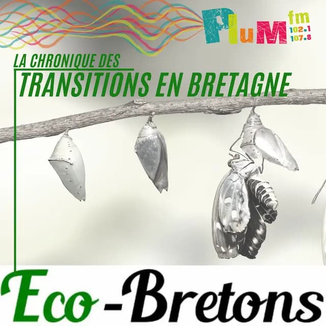 La chronique des transitions # 30 janvier. 