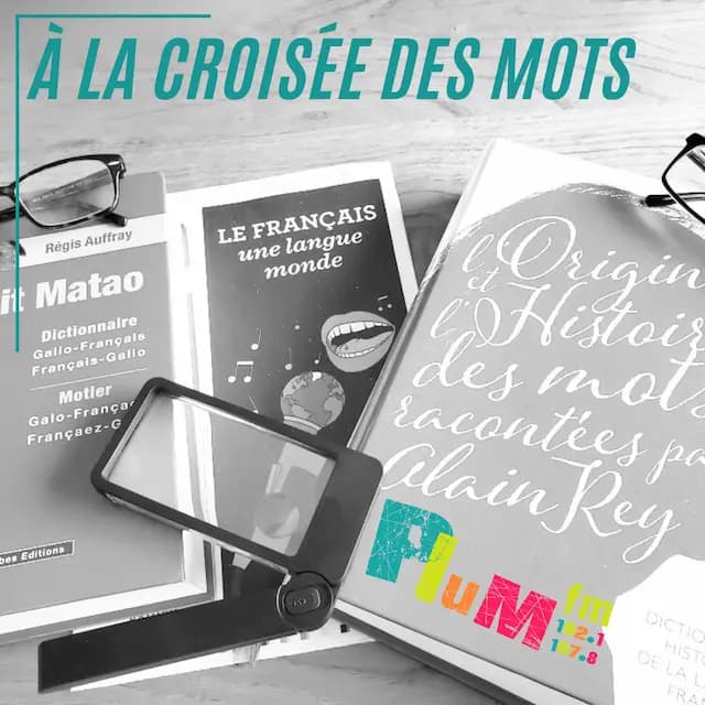 À la croisée des mots #05 Adulescent