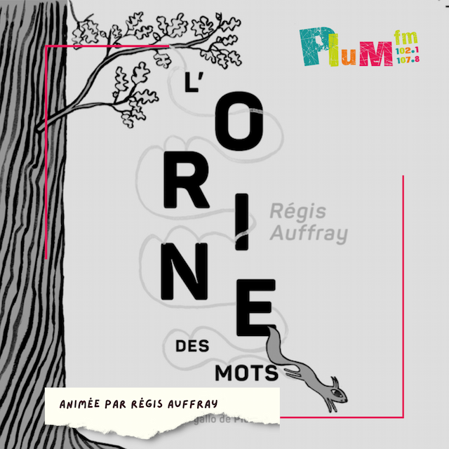 L'orine des mots : Derouine